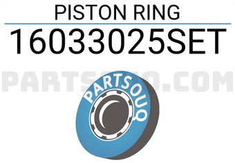 RIKEN 16033025SET PISTON RING