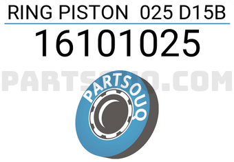 RIKEN 16101025 RING PISTON 025 D15B