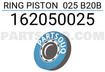 RIKEN 162050025 RING PISTON 025 B20B