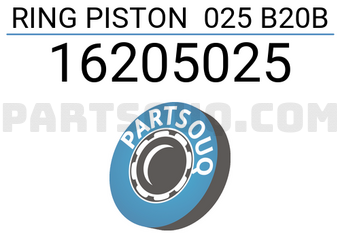 RIKEN 16205025 RING PISTON 025 B20B