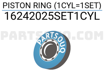 RIKEN 16242025SET1CYL PISTON RING (1CYL=1SET)