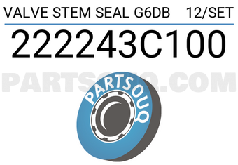 RIKEN 222243C100 VALVE STEM SEAL G6DB 12/SET