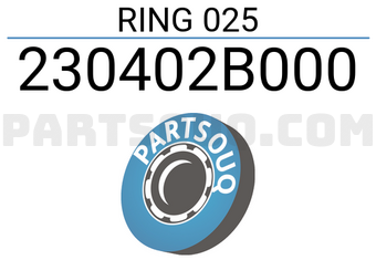 RING PISTON 050 AVANTE HD SWG30046ZZ050 | NPR Parts | PartSouq