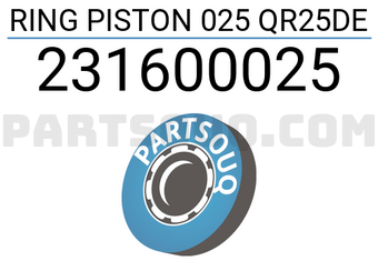 RIKEN 231600025 RING PISTON 025 QR25DE