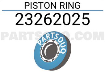 RIKEN 23262025 RING PISTON 025 CD20