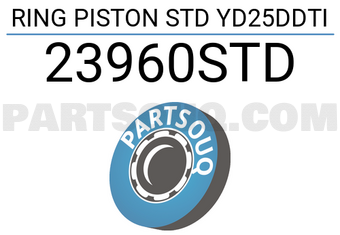 RIKEN 23960STD RING PISTON STD YD25DDTI