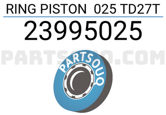 RIKEN 23995025 RING PISTON 025 TD27T