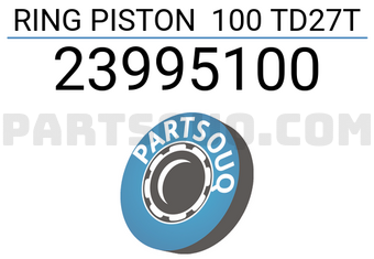 RIKEN 23995100 RING PISTON 100 TD27T