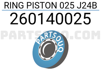 RIKEN 260140025 RING PISTON 025 J24B