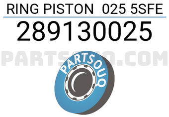 RIKEN 289130025 RING PISTON 025 5SFE