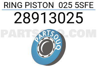 RIKEN 28913025 RING PISTON 025 5SFE
