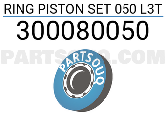 RIKEN 300080050 RING PISTON SET 050 L3T