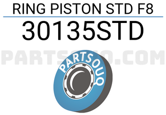RIKEN 30135STD RING PISTON STD F8