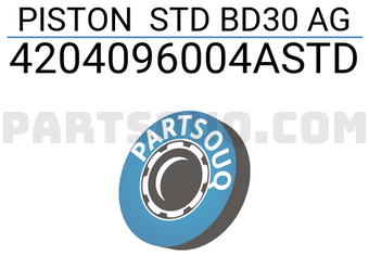RIKEN 4204096004ASTD PISTON STD BD30 AG