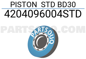RIKEN 4204096004STD PISTON STD BD30
