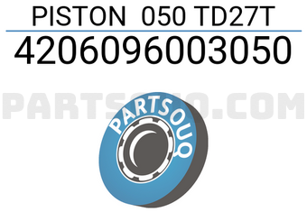 RIKEN 4206096003050 PISTON 050 TD27T