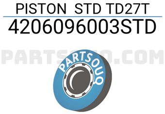 RIKEN 4206096003STD PISTON STD TD27T