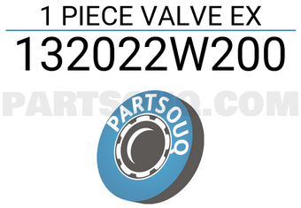 ROCKY 132022W200 1 PIECE VALVE EX