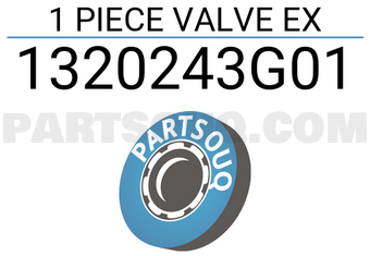 ROCKY 1320243G01 1 PIECE VALVE EX