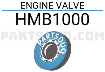 ROCKY HMB1000 ENGINE VALVE 4PC