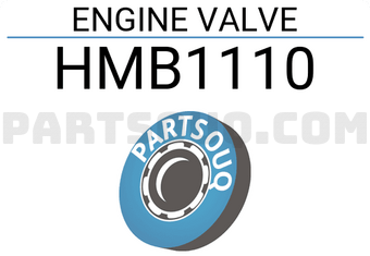 ROCKY HMB1110 ENGINE VALVES-EX 4 PC