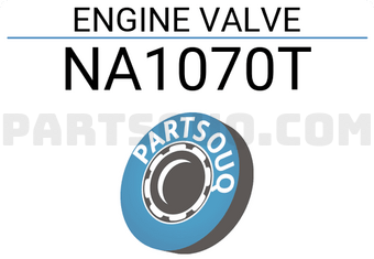ROCKY NA1070T ENGINE VALVE