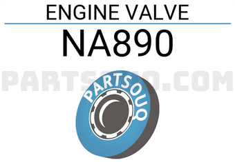ROCKY NA890 ENGINE VALVES 6PCS)