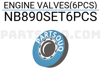 ROCKY NB890SET6PCS ENGINE VALVES(6PCS)