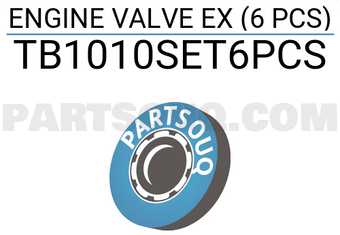 ROCKY TB1010SET6PCS ENGINE VALVE EX (6 PCS)