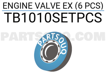ROCKY TB1010SETPCS ENGINE VALVE EX (6 PCS)