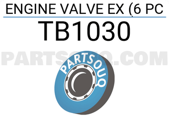 ROCKY TB1030 ENGINE VALVE EX (6 PC