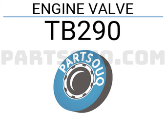 ROCKY TB290 ENGINE VALVES 4 PCS)