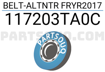 Renault 117203TA0C BELT-ALTNTR FRYR2017