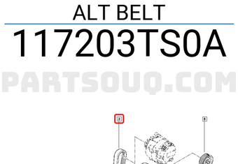 Renault 117203TS0A ALT BELT