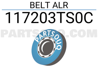 Renault 117203TS0C BELT ALR