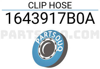 Renault 1643917B0A CLIP HOSE
