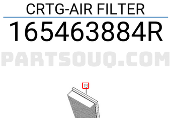 Renault 165463884R CRTG-AIR FILTER