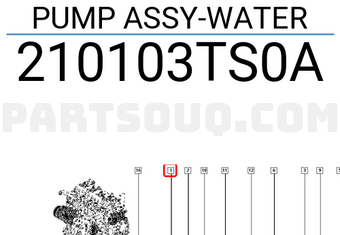 Renault 210103TS0A PUMP ASSY-WATER