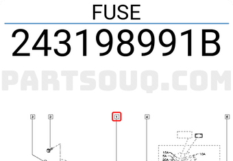 Renault 243198991B FUSE