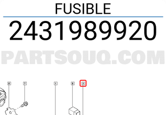 Renault 2431989920 FUSIBLE
