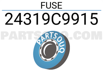 Renault 24319C9915 FUSE