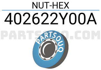 Renault 402622Y00A NUT-HEX