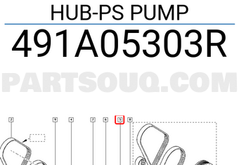 Renault 491A05303R HUB-PS PUMP