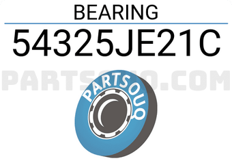 Renault 54325JE21C BEARING