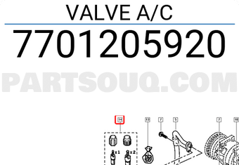 VALVE A/C 7701205920, Renault Parts