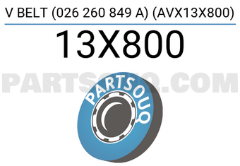 SCHNIEDER 13X800 V BELT (026 260 849 A) (AVX13X800)