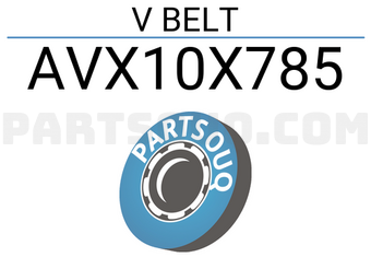 SCHNIEDER AVX10X785 V BELT