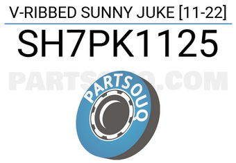 SCHNIEDER SH7PK1125 V-RIBBED SUNNY JUKE [11-22]