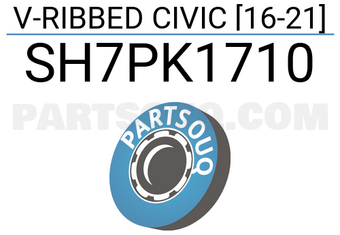 SCHNIEDER SH7PK1710 V-RIBBED CIVIC [16-21]
