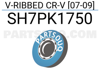 SCHNIEDER SH7PK1750 V-RIBBED CR-V [07-09]